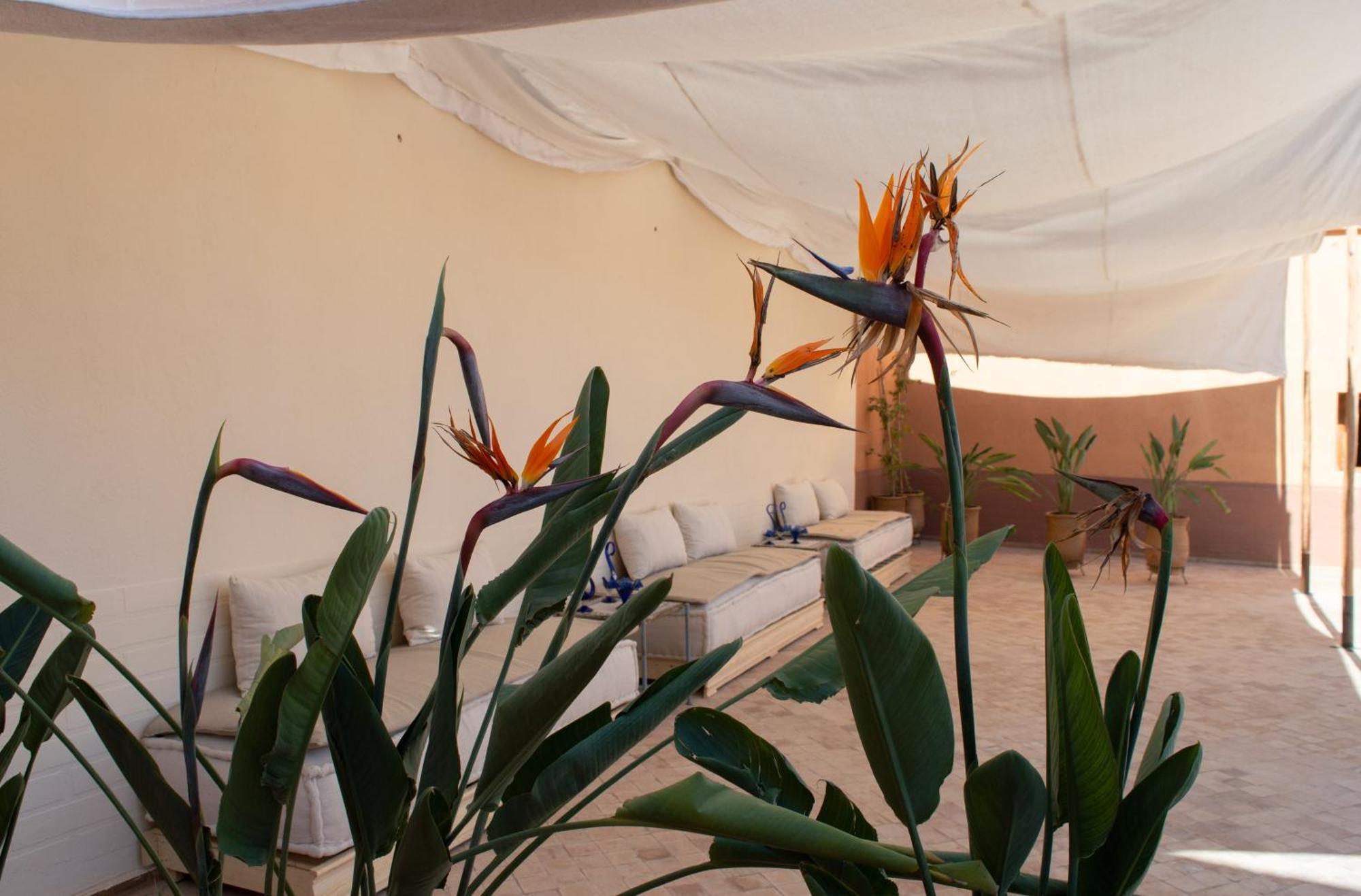 Ferme D'Hote Zomorroda Marrakesh Ngoại thất bức ảnh