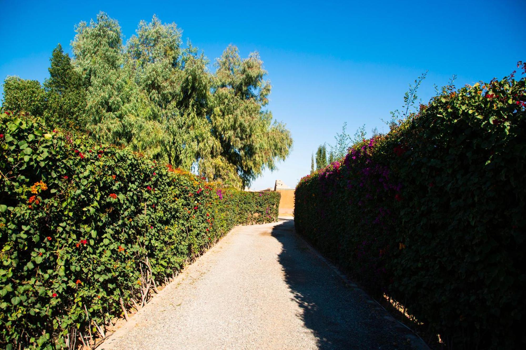 Ferme D'Hote Zomorroda Marrakesh Ngoại thất bức ảnh